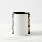 Mouettes avides de Scavaging - TASSE FAITE SUR (Centre)