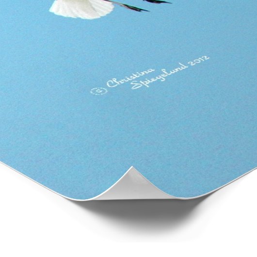 Mouettes blanches volant Poster (Coin)