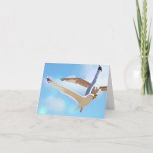 Mouettes dans la carte de billet de vol