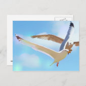 Mouettes dans la carte postale de vol (Devant / Derrière)