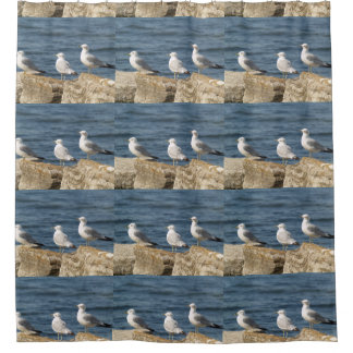 Mouettes de mer sur rochers rideau de douche