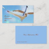 Mouettes en Cartes de visite de vol (Devant / Derrière)