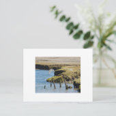 Mouettes en vol Carte postale (Debout devant)