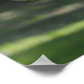 Mouflon Ram Poster (Hoek)