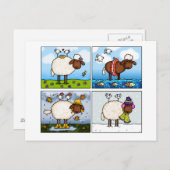 mouflons de toutes les saisons carte postale (Devant / Derrière)