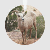 Mouflons drôles à Zion National Park (dos)