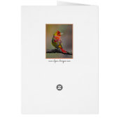 Moulage de Tangère - Photo originale (Dos)