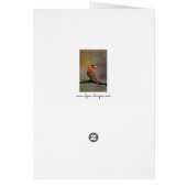 Moulage de Tangère - Photo originale (Dos)