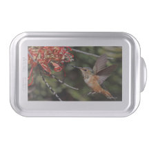 Câble à gâteau avec colibri