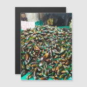 Moules à lèvres vertes à vendre Carte magnétique (Devant / Derrière)