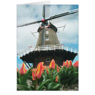 Moulin à vent de tulipes de ressort
