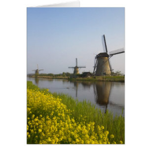 Moulins à vent le long du canal à Kinderdijk,