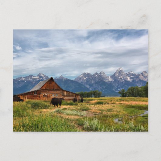 Moulton Barn Briefkaart (Voorkant)