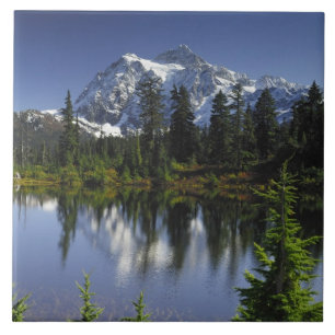 Mount Baker-Snoqualmie Nationaal Bos Tegeltje