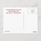 Mount Dora, Fl - Boat House Row - 1907 Briefkaart (Achterkant)