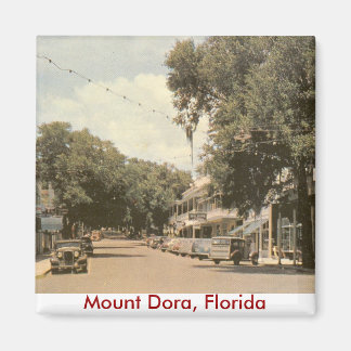 Mount Dora, Florida Magneet