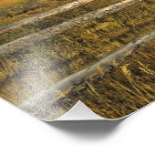 Mount Haggin NWR near Anaconda Montana Foto Afdruk (Hoek)