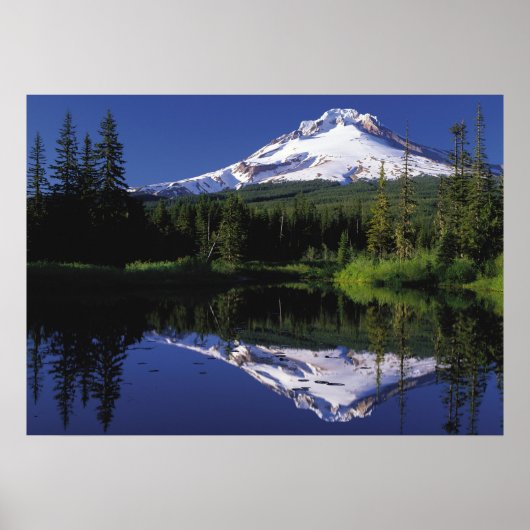 Mount Hood Oregon Poster (Voorkant)