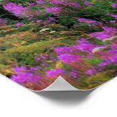 Mount Iliamna Alaska Poster (Hoek)