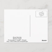 Mount Katahdin Briefkaart (Achterkant)