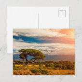 Mount Kilimanjaro | Amboseli, Kenia Briefkaart (Voorkant / Achterkant)