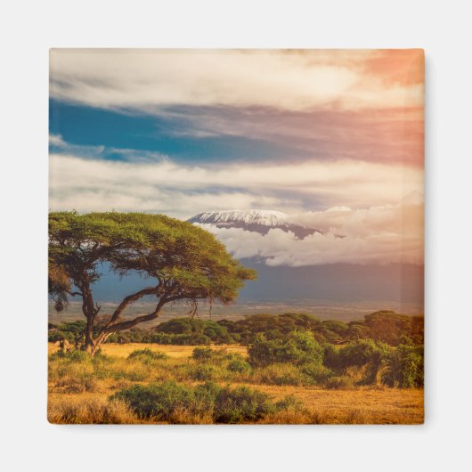 Mount Kilimanjaro | Amboseli, Kenia Magneet (Voorkant)