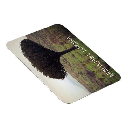 Mount Kilimanjaro, Candelabra Tree Magneet (Rechterzijde)