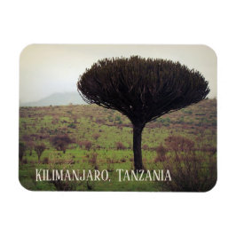Mount Kilimanjaro, Candelabra Tree Magneet