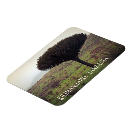 Mount Kilimanjaro, Candelabra Tree Magneet (Linkerzijde)