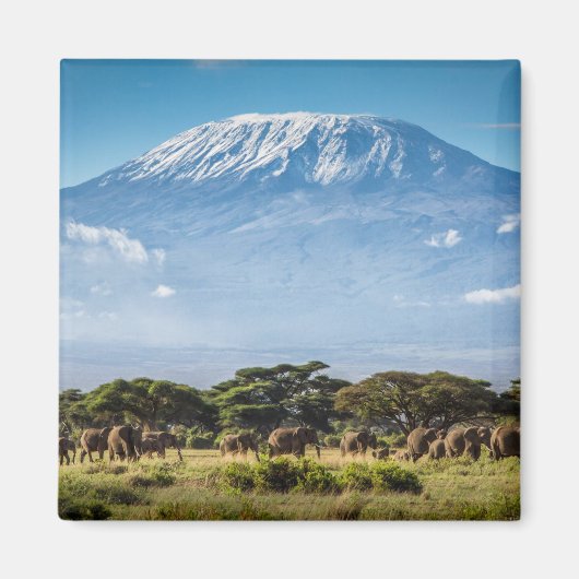 Mount Kilimanjaro Magneet (Voorkant)
