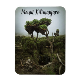 Mount Kilimanjaro Magnet Magneet