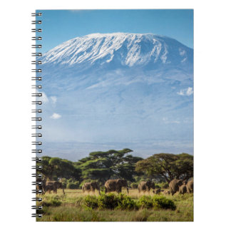 Mount Kilimanjaro Notitieboek