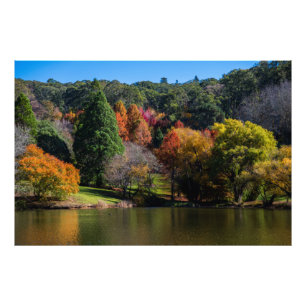 Mount Lofty Botanische Tuinen Mooie Herfst Foto Afdruk