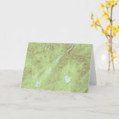 Mount Marcy Topographic Map - Adirondack Park Kaart (Gele Bloem)