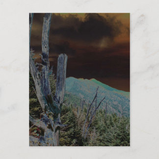 Mount Mitchell, North Carolina Briefkaart