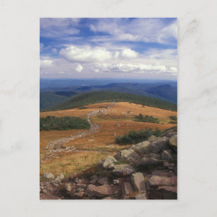 Mount Moosilauke Summit Trail Briefkaart