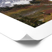 Mount Rainier herfst kleur landschap Poster (Hoek)