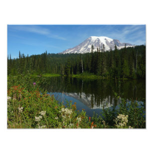 Mount Rainier-meerreflectie met wilde bloemen Foto Afdruk