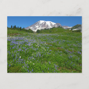 Mount Rainier met paarse lupine Briefkaart
