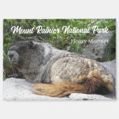 Mount Rainier Nationaal Park Hoary Marmot Magneet (Voorkant)