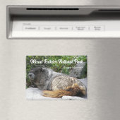 Mount Rainier Nationaal Park Hoary Marmot Magneet (Insitu (Vaatwasser))