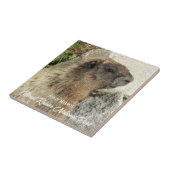 Mount Rainier Nationaal Park Hoary Marmot Tegeltje (Zijkant)