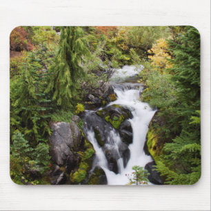 Mount Rainier National Park, herfststroom Muismat