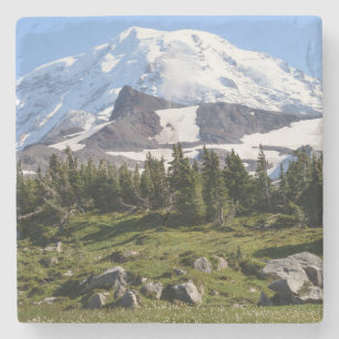 Mount Rainier National Park, WA. Spray Park Stenen Onderzetter