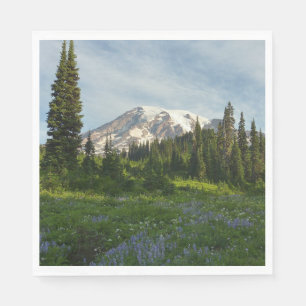 Mount Rainier Ochtendlicht Servet
