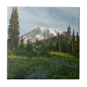 Mount Rainier Ochtendlicht Tegeltje