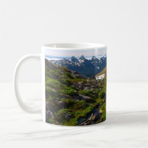Mount Rainier Panorama Point Koffiemok