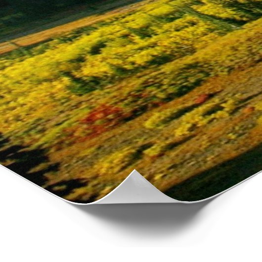 Mount Rainier Poster (Hoek)