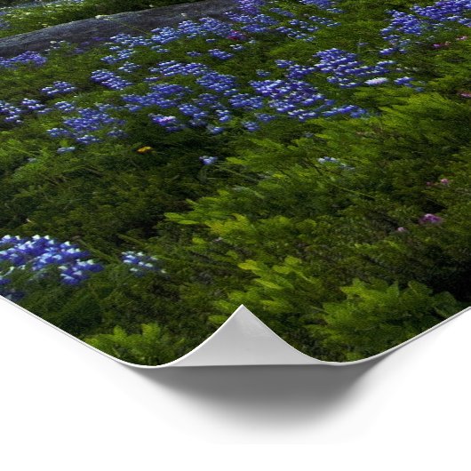 Mount Rainier Poster (Hoek)