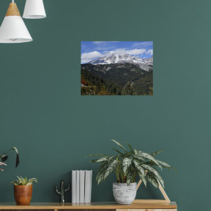 Mount Rainier Schitterend Valleilandschap Poster